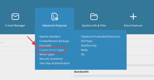 Customize Custom Error Pages on DirectAdmin