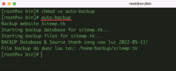Create a script to backup data on the Linux server
