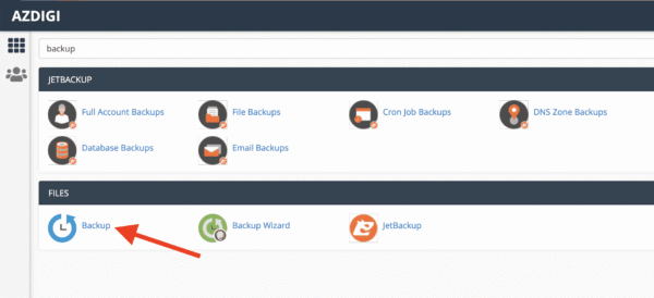 How to get the website’s database on cPanel hosting