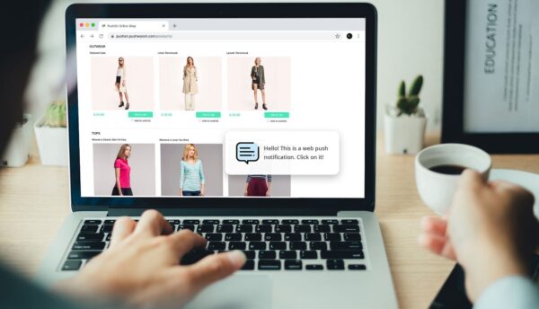 How to create push notifications for WordPress