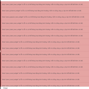 Fix the Widget Display error on WordPress